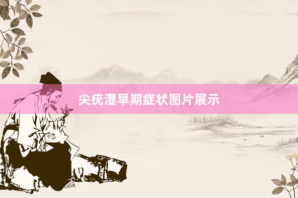 尖疣湿早期症状图片展示
